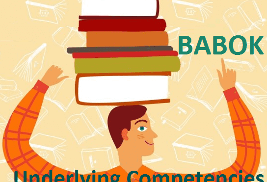 Что должен знать и уметь бизнес-аналитик по BABOK: 6 базовых компетенций